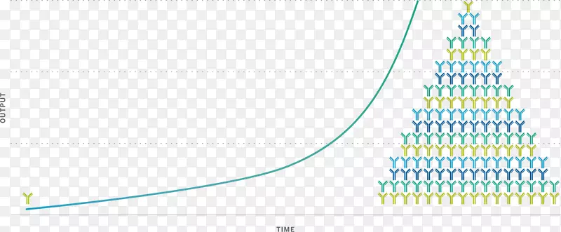 ֱ�ߵ����-������