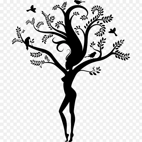 �����Ӱ.���-������