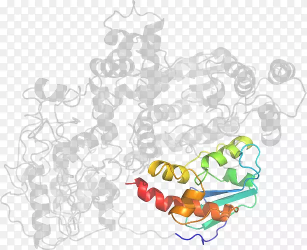 ��ʳ������-��-������