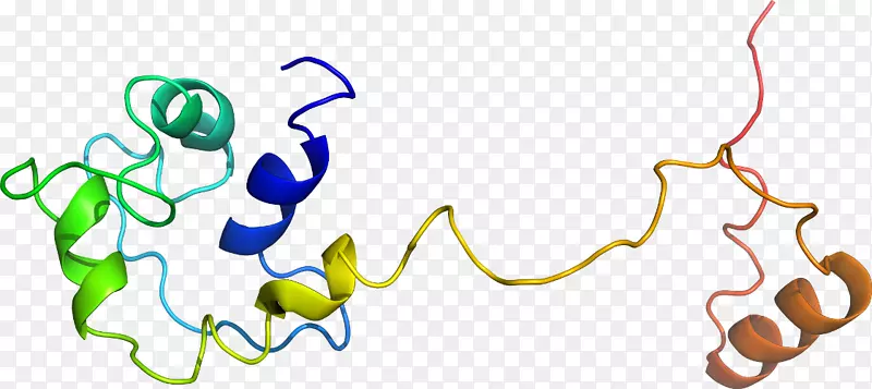 �ߵ������������-������