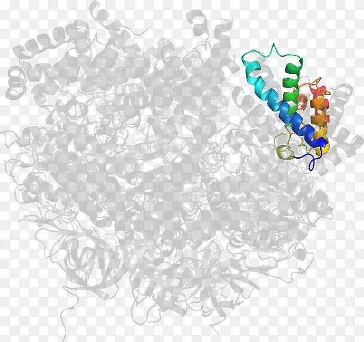 ���ߵ������-��-������