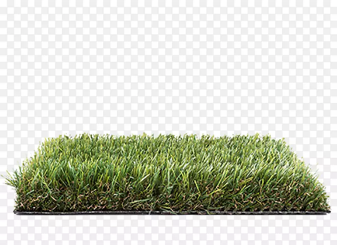 ��ƺ�����ƺ���ݳ�Ʒ��Ӿ��-�ٲ�-������