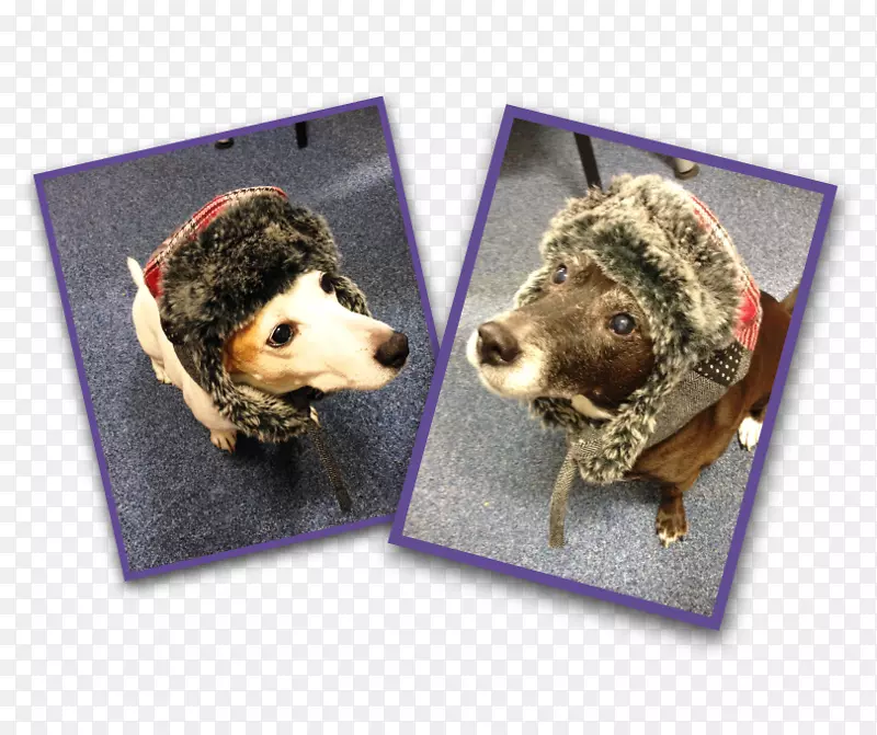 ������-��-������