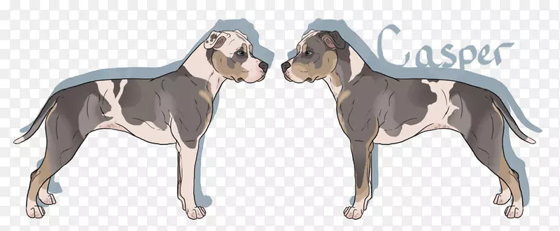 ����ֳ������-����-������