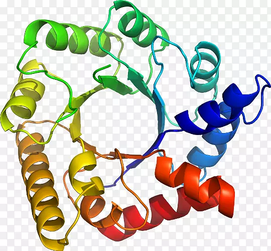 �����鱦���л����������-������