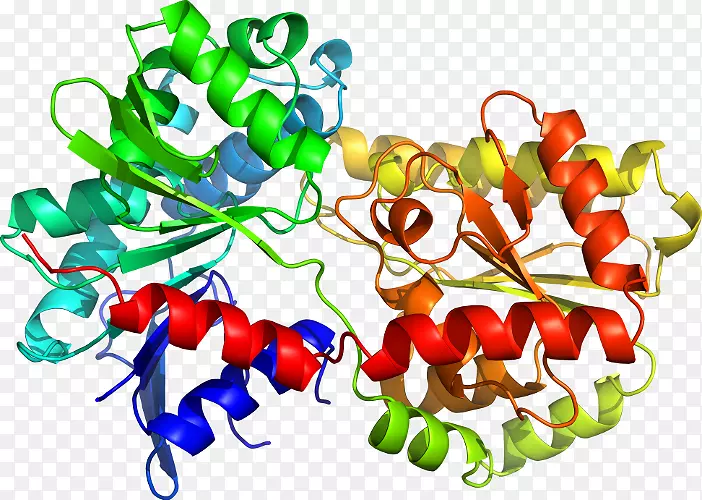 �߲�����ˮ��������-�߲�-������