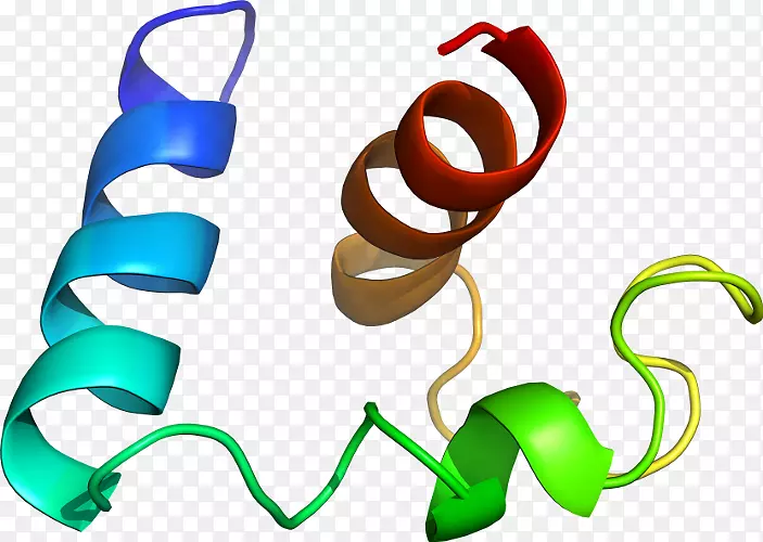 �����鱦������.���-������