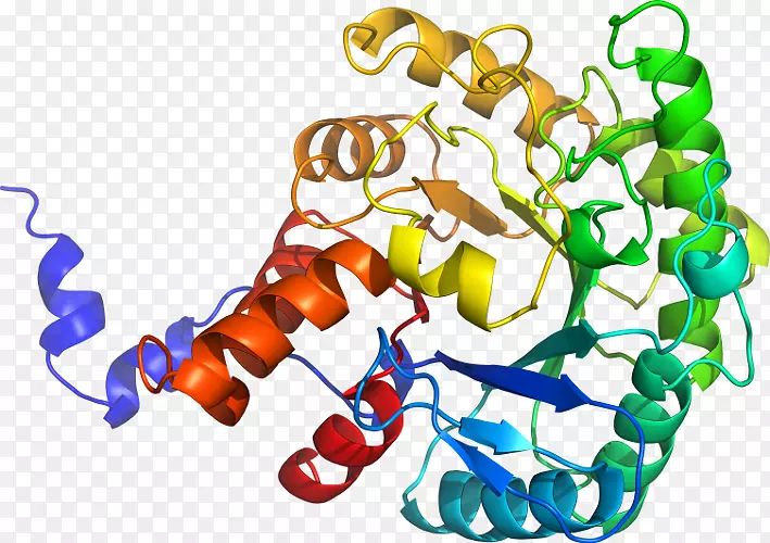 ���������л����߼�������-������