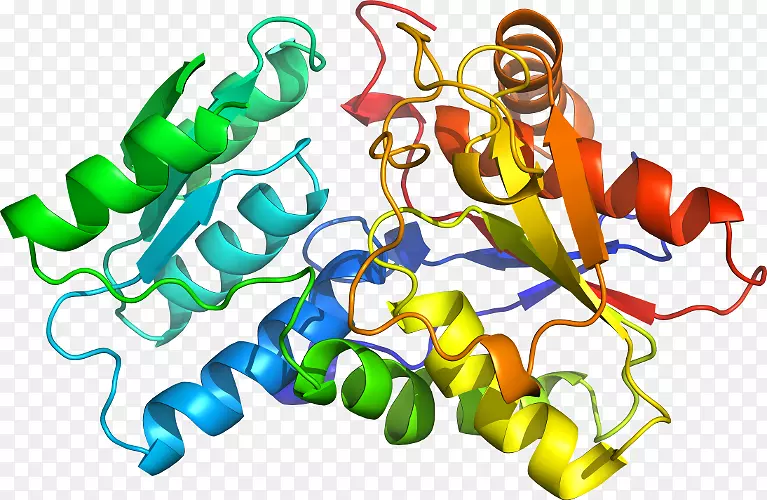 ���������л����߼�������-������