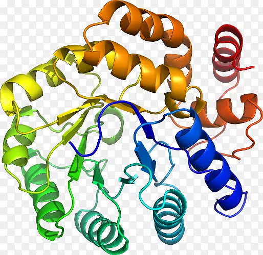 ���������л����߼�������-������