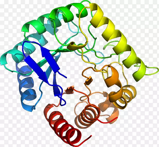 ���������л����߼�������-������