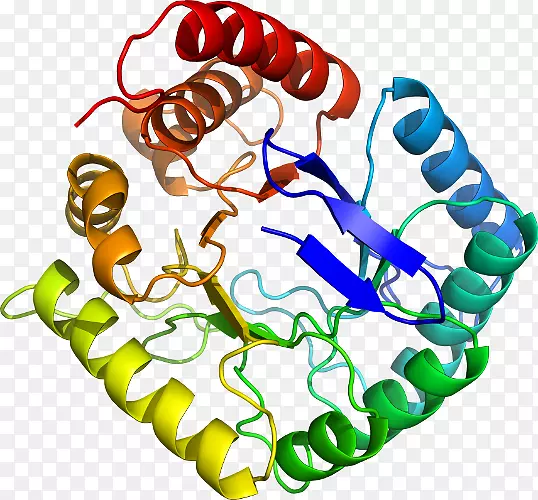 ���������л����߼�������-������