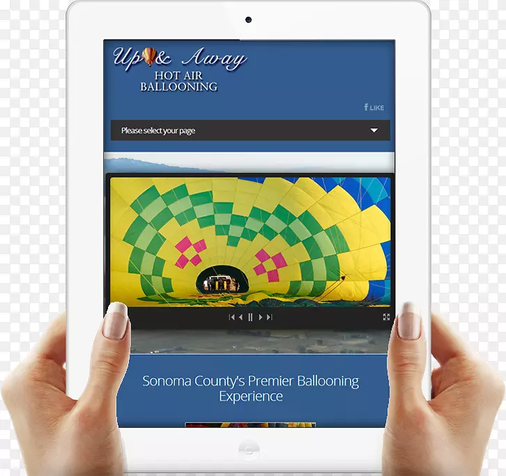 չʾ���Ʒ�ƶ�ý��С����-������