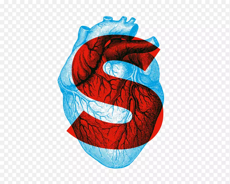 ����ѧ������ѧIIʵ�����ֲ�Patricia Visser����-���ʿֻ���-������