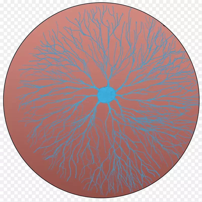 �Գ��л���-������