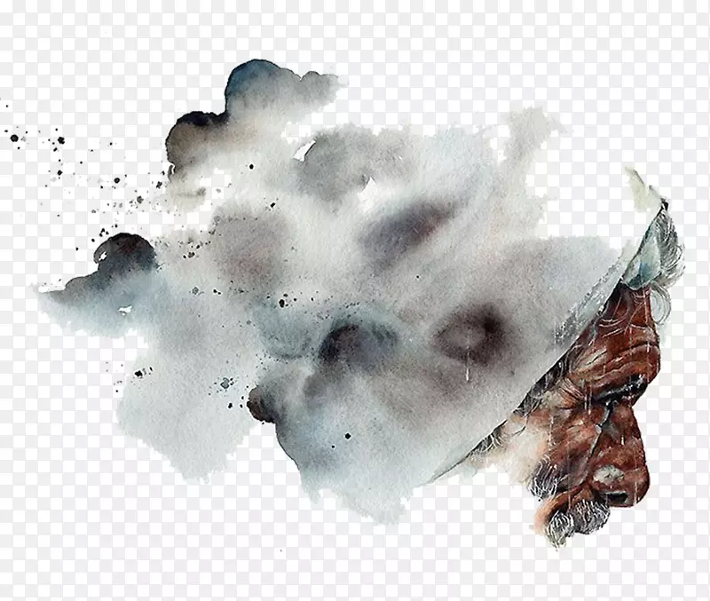 ������ˮ�ʻ�.����-���ˮɫˮ�ʻ�����-������