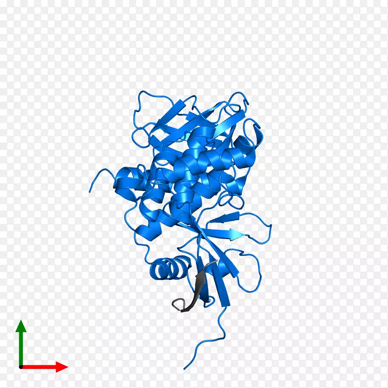 �ߵ������-��-������