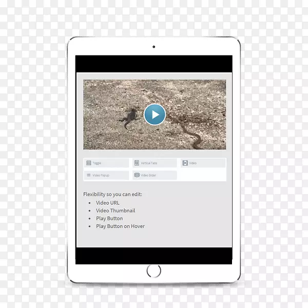 ����Ʒ�ƶ�ý�弼��-������