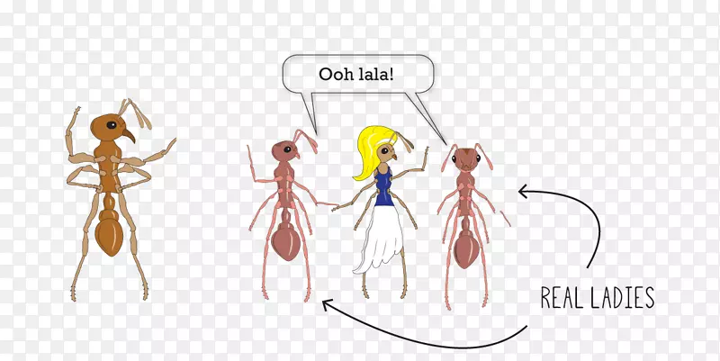 ���˼��������-������