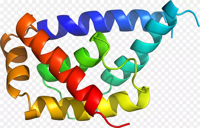 �����ֽ���Լ���������-������