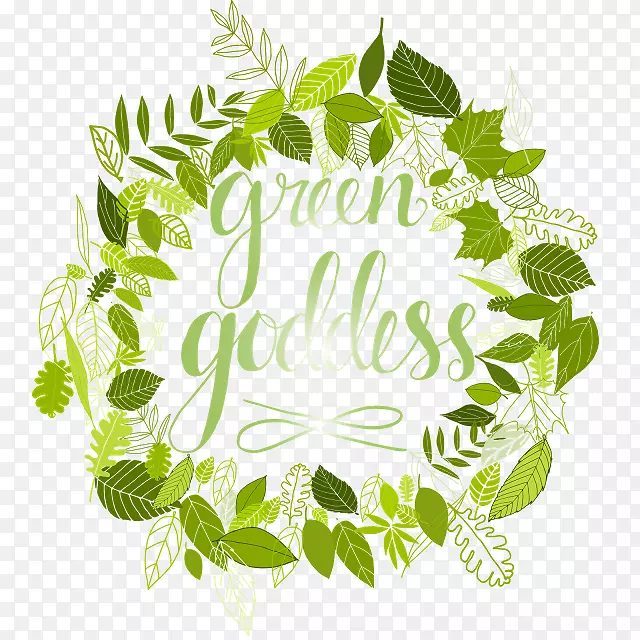 ����ֲ���̻���Ƽ��������-������