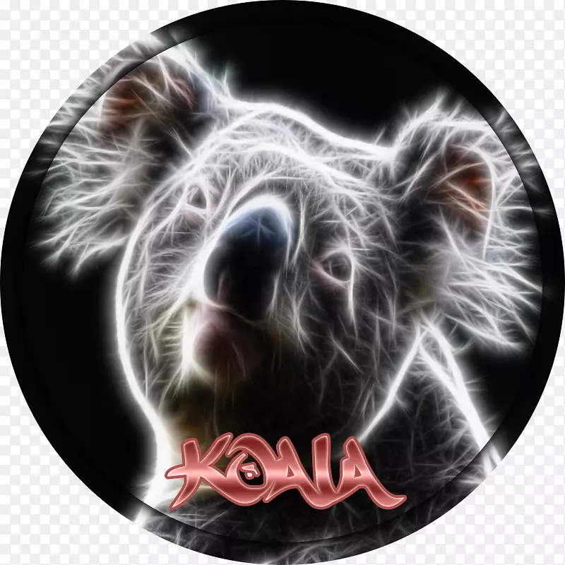 �Ǵ�����-NCS��־-������