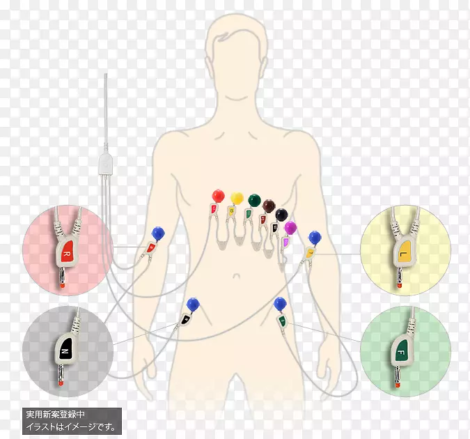 ָ�����-������