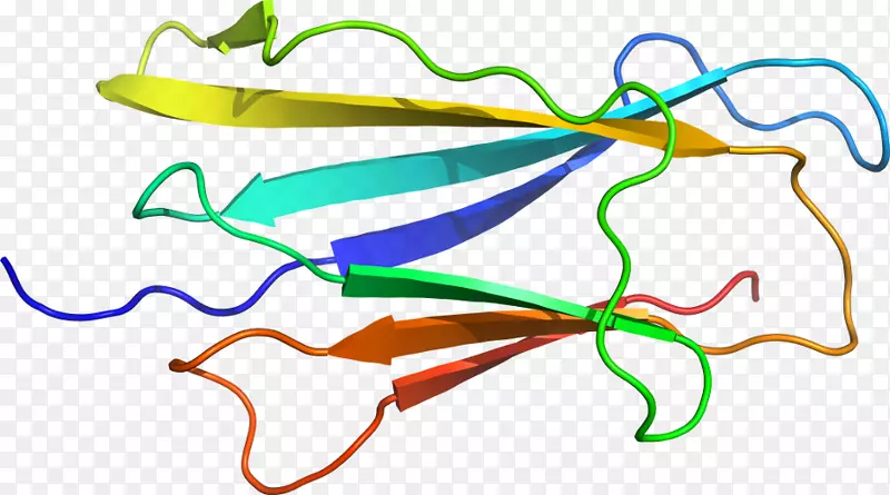 Ҷ�ߵ������-Ҷ-������