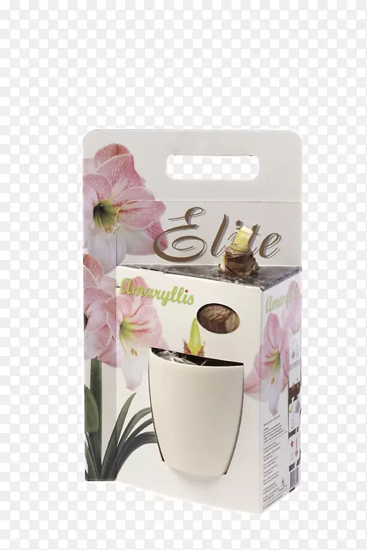 ���ȱ����������豭-������