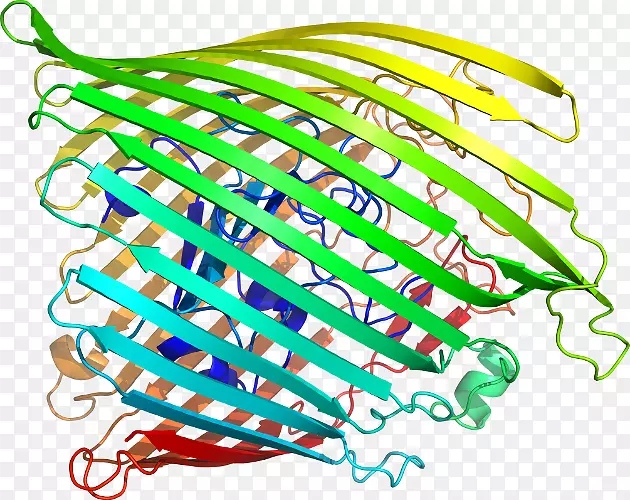 �ߵ������-��-������