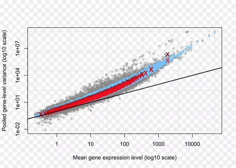 �ߵ��������-������