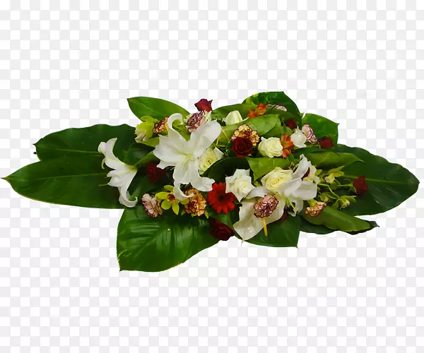 ��������л�����ֲ�ﻨ��-������