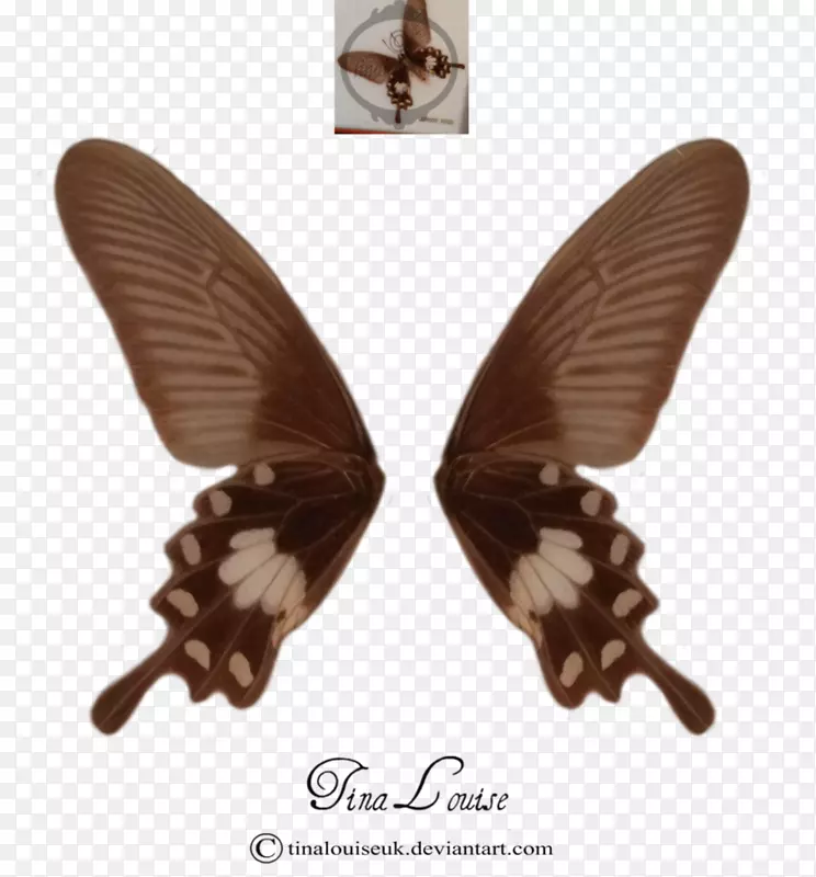 ����������Ӱ������ҧѧߧ�-�����Ů-������