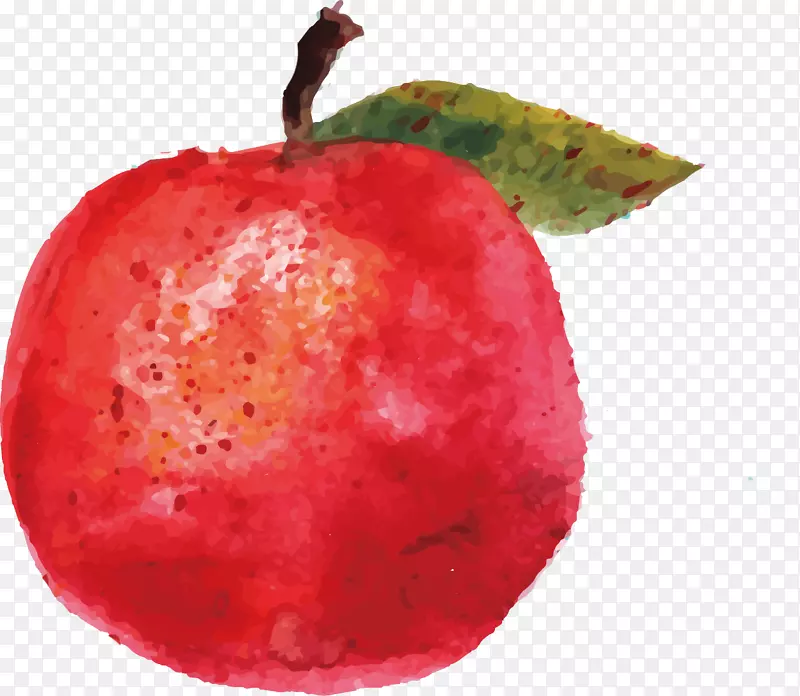 ������Ҷ���ʹ�����������-��ƻ��-������