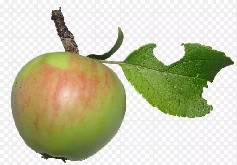 ƻ�����ذ¸���˹ƻ���ֹ�˾-������