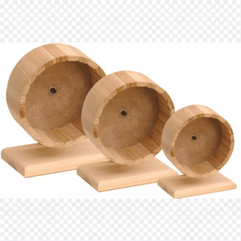 ���������ɳ��-��-������