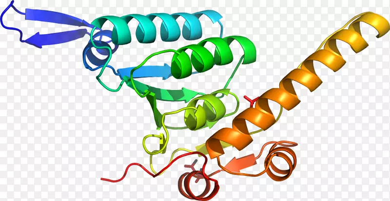 ���������л����߼�������-������