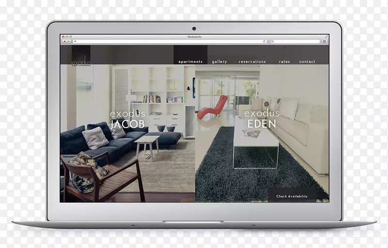 ��ý�����-������