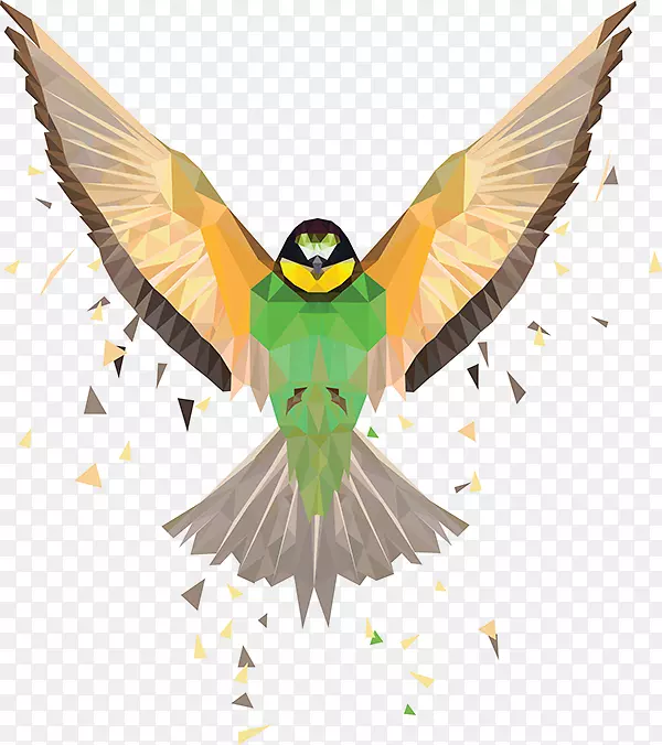 ๳���������ë�������-������