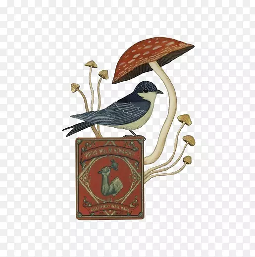 ����ˮ�ʻ���ͼ.�ֻ濨ͨ��ͼ��Ģ��-������