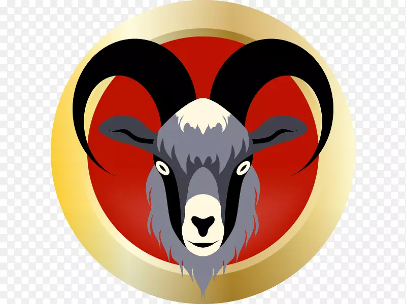 ţ�Ǽ�����-������