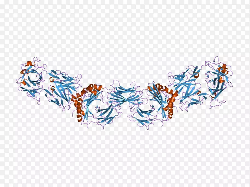 �������鱦��������-������