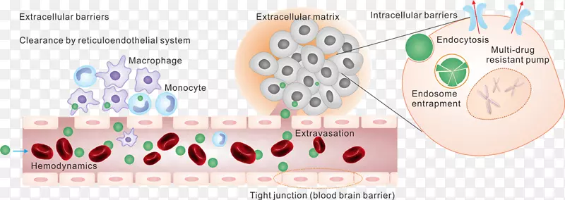 ҩ��ע�䰩֢-��Խ-������