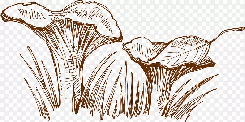 ţ�ű�����ʳƷ�߲�����Ģ��-������