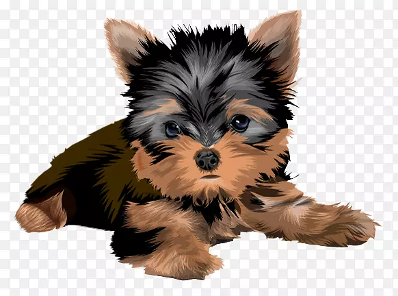 Լ�˿���Ȯ-������