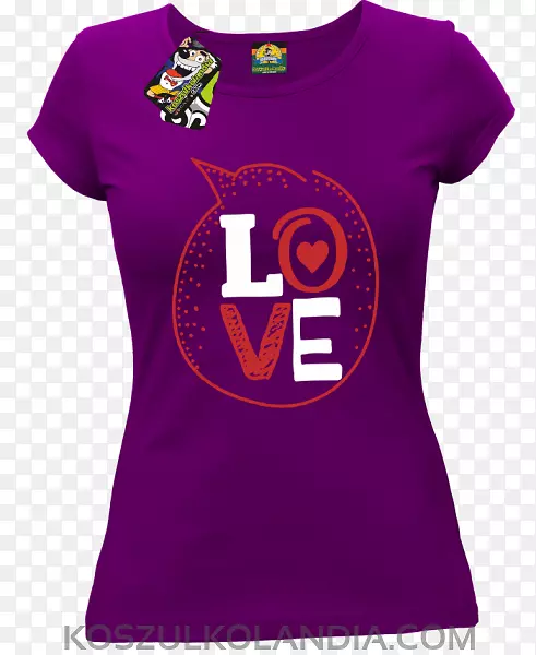 t��������������װ�ư�-������