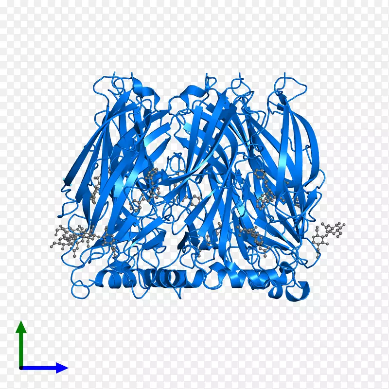 �ߵ�������-������