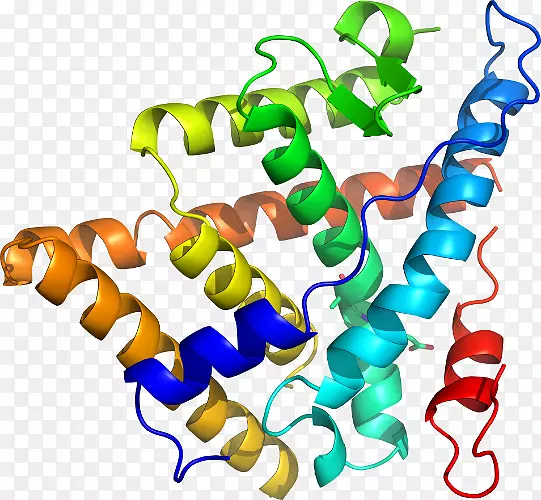 ���������л����߼�������-������