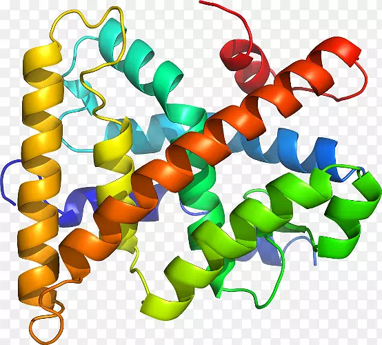 �����鱦���л����������-������