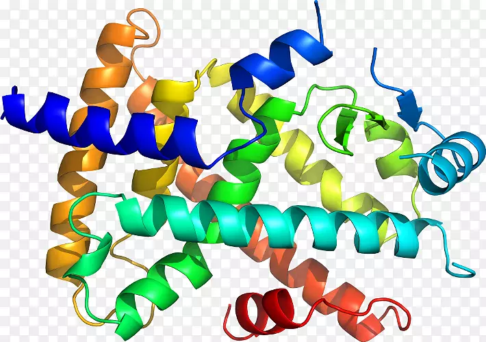 �ߵ������������-������